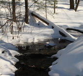 Refreshing Stream